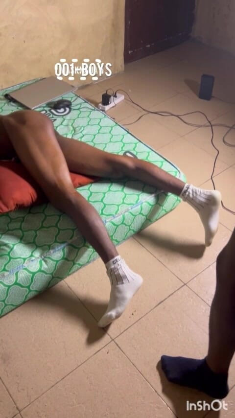 Creamyverseguy2: Trio que hacen nuestro día