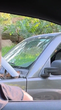 Anya olsen dijemput dan dientot habis-habisan sama orang asing yang murah hati