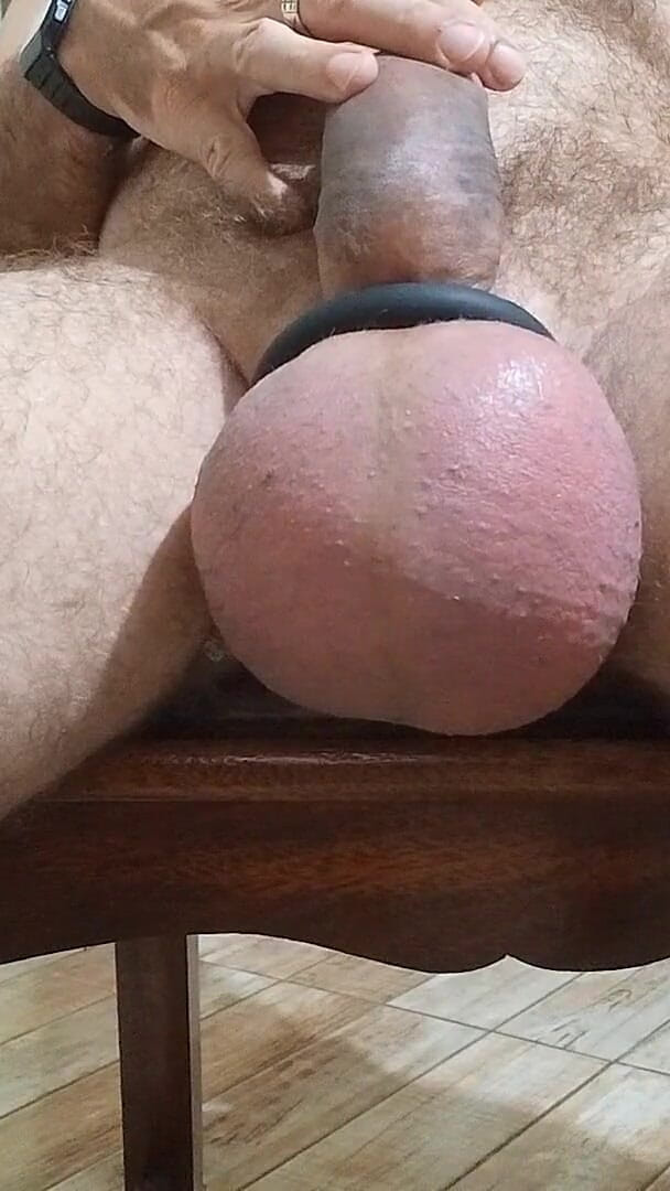 Saline and Masturbation (Lion big balls)