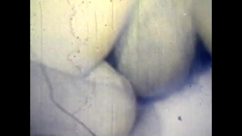 The Unforgettable: Hot Fuck Oyunları