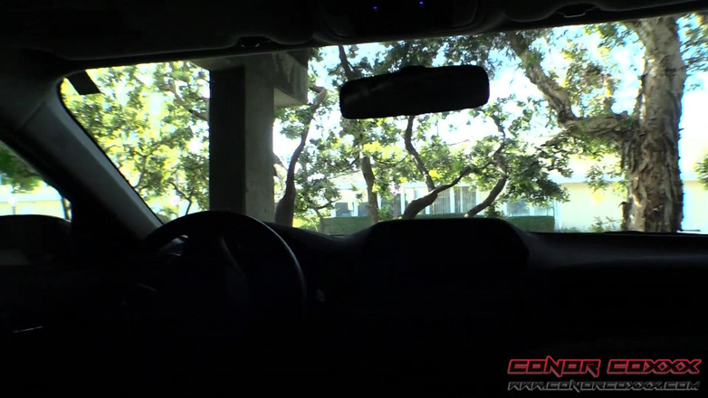 Horny Household: Stepmother Rewards Stepson with Car BJ