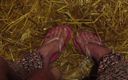 Barefoot Stables: Pés estáveis mijando