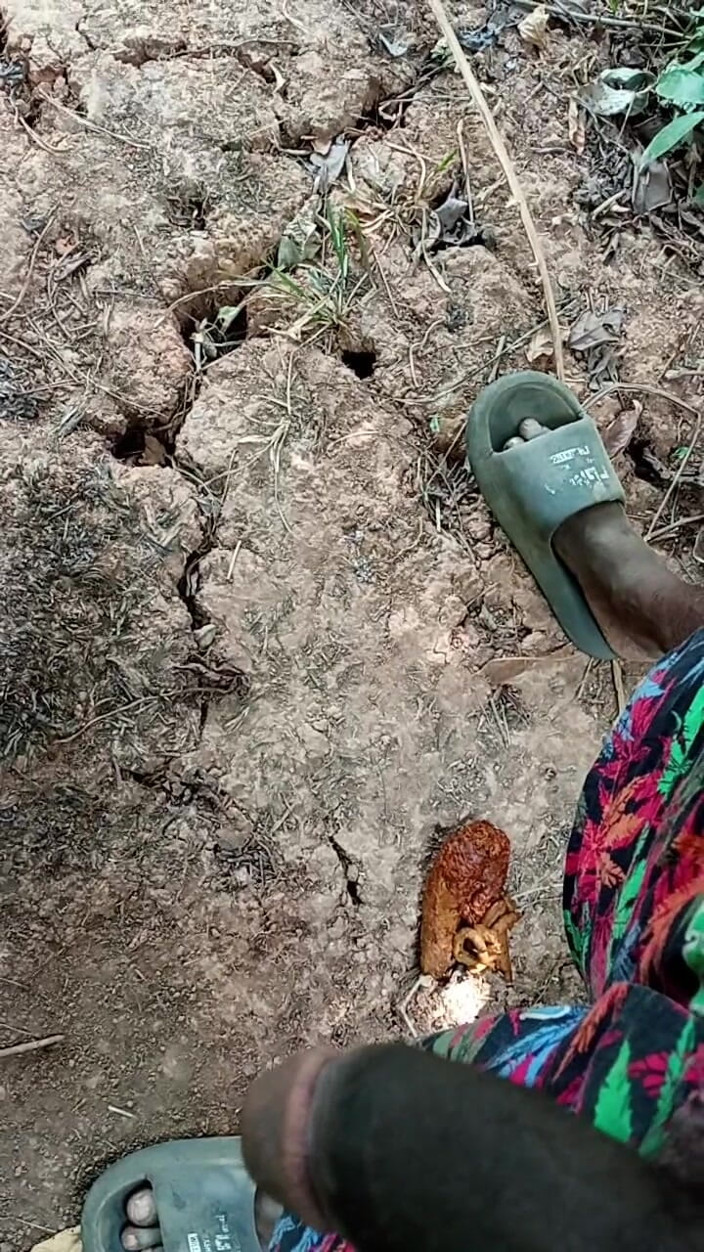 Kpekus arena: African Boy Masturbating Inside the Bush