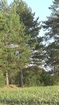Mistress Rose on Nature
