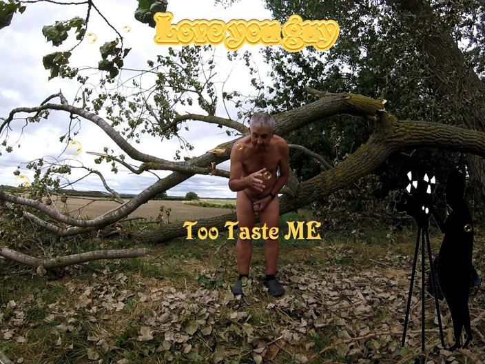 Andy: パート2 ウォーク46