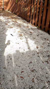 Casal Foi Pego Fodendo Fora Na Câmera