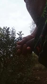 Solo Outside