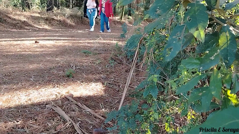 Priscila: Moje nevlastní matka a nevlastní sestra mě zvou, abych šel na...