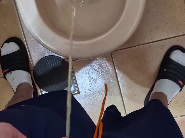 Piss Compilation (Lk dick)