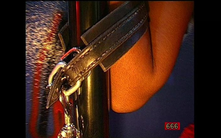GGG John Thompson: 666 Piss Knast