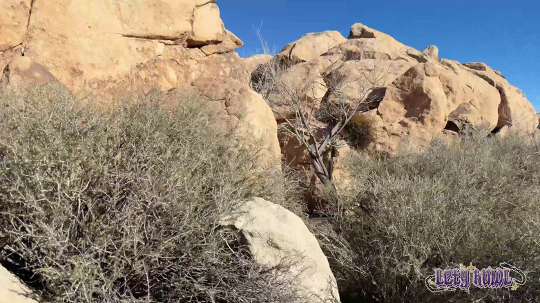 Lety Howl: The Adventures of Lety Howl, Episode 12: Usa Road Trip