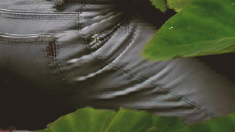 SEXUAL SIN GAY: Scéna z gay islandu - 2_two svalnatí gayové tvrdě šukají v džungli