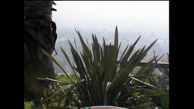 Blitzporn: 汤米·罗斯：火热且渴望在户外被狠狠操