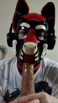 Latex Pet Sucks His Rubber Bone. Watch the Full on My Fancentro