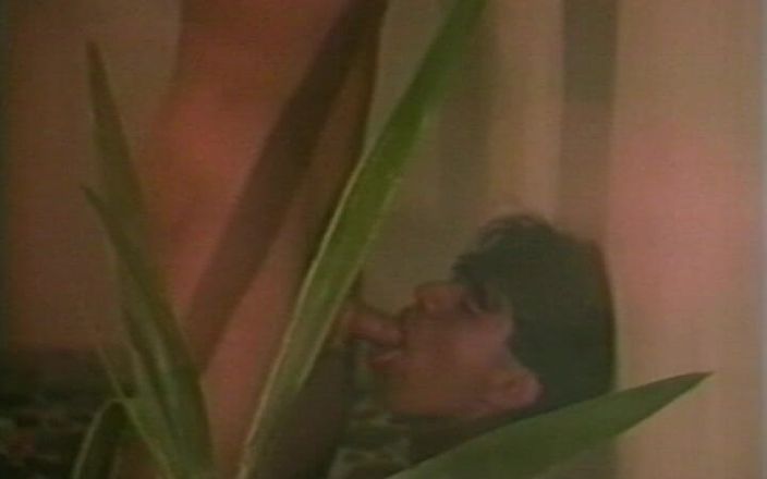 Gay RetroX VHS: Passionate Guy Heat Wave 8