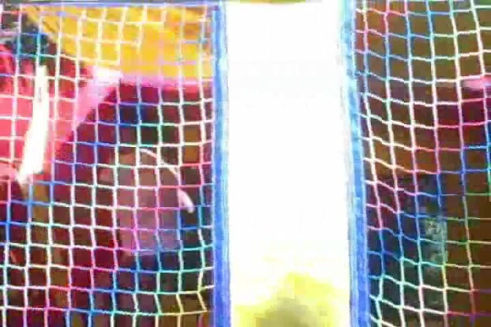 Sexxy Brandon: Sexxy Brandon: Bouncy Brandon