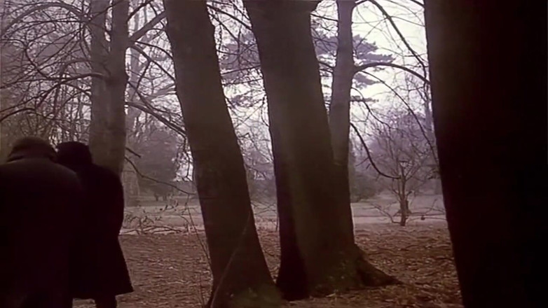 Euro Blue Movies: Lustige Witwe (1995)