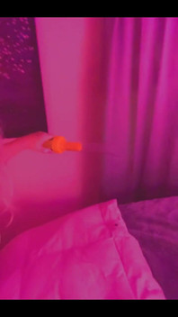 Not Invited Sir Stinkbug