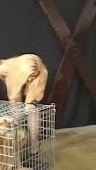 Blonde Dominatrix Locks Her Submissive Lover in Cage