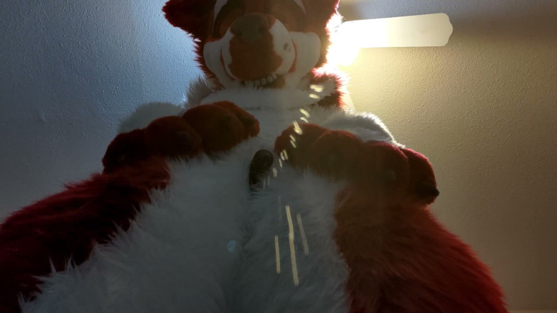 PawgrammerSocks: Furry in Full-body Fursuit Pisses on You, Then Cums Over...