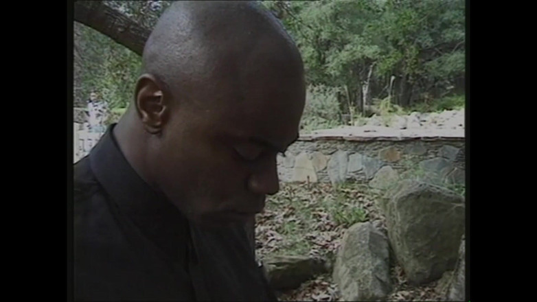 MMV films - The Original: Il Nero Del Bosco