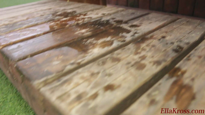 Ella Kross: Ты мой туалетный раб, так что лижи меня дочиста!