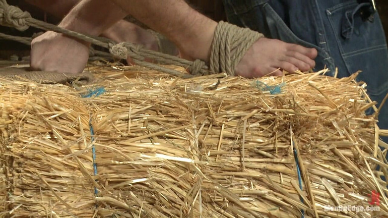 Men on Edge: 毛深い筋肉質の男は二人の農夫にペニスをエッジされている