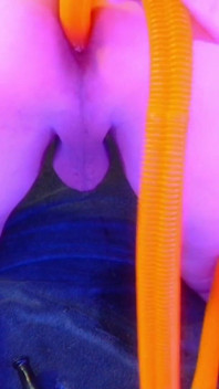 Tubo alienígena de 80 cm / 32 polegadas dentro da minha bunda femboy