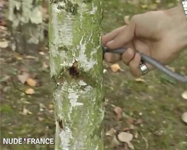 La France a Poil: Wouldn't That Beautiful Nurse Take Advantage of Her Status?