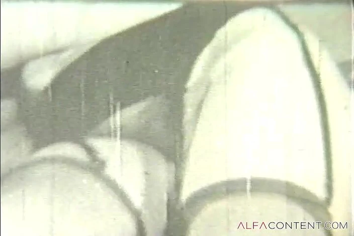 Alfa Planet: A sexy brunette in stockings loves sucking a thick cock