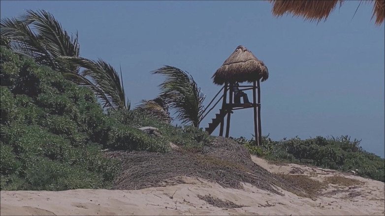 Dom Rod: Nafsu di pantai dream 1