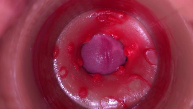 Ladybottox: Camera in Vagina, Cervix POV, Creampie