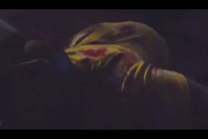 Fancydesire77: У тетушки сюрприз на день рождения для меня