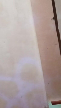 Pług in My Asshole