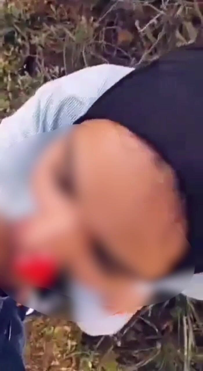 Amiramodel: Pipe Arab