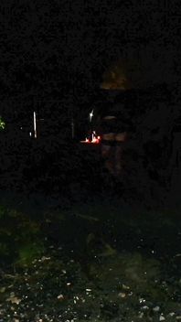 20240727_005357mp4
