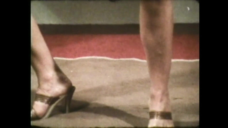 Vintage Usa: Lesbický box