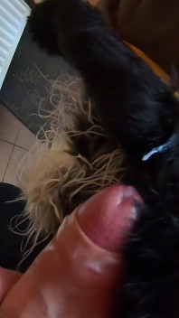Deep-throat, bermain pancutan mani dan camel-toe- kulit dan fetih bulu 255