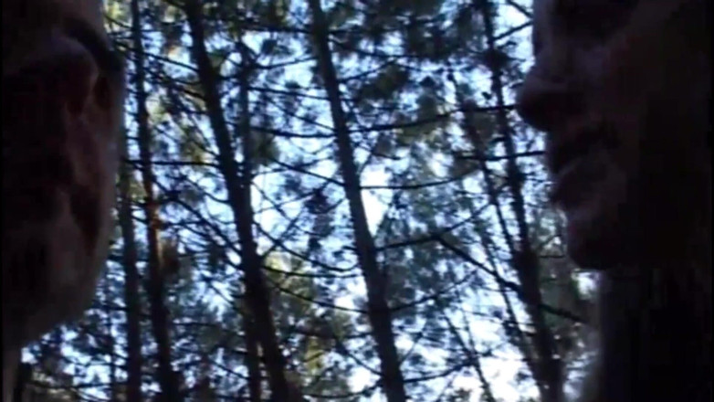 TGIRL ROOM: Orgy in the Woods with 1 Trans and 2 Sluts