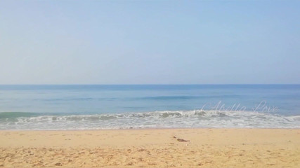 Abella Love: MILF langsing berjemur mandi dan kencing dua kali di pantai