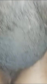 Il cornuto sehar
