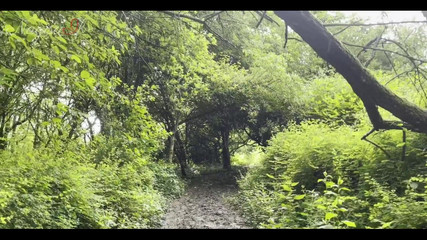 NagisaIf: Yeni Seyahat Blogu! Bu sefer bir kaleye gittik ve onun...