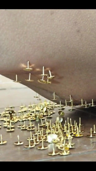 A New and Exciting Experience