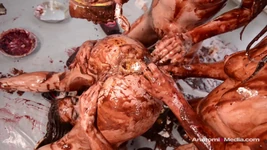 Messy Girls: pelacur kue pie