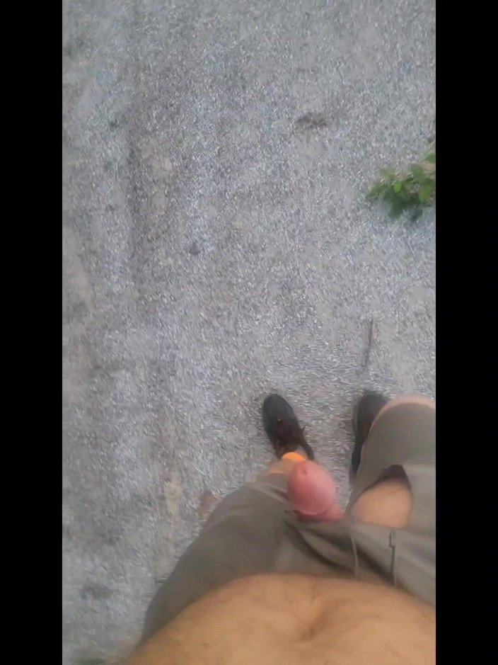 Djk31314: Went for a Walk at the Truck Stop