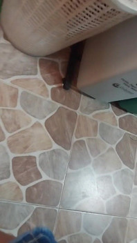 You Want to Know How My Ass Looks, Come and Fuck Me