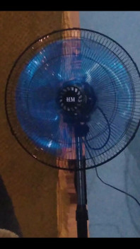 My Shein Fan Arrived