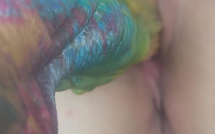 Curvy_Mommy: Wielki kolorowy szalony dildo i mały przezroczysty dildo