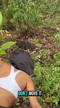 Vecina obraznică mă apleacă în pădure