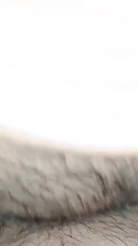 Geile stiefzus houdt van enorme lul van stiefbroer